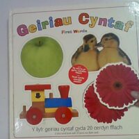 Geiriau Cynntaf